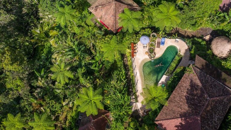 sarinbuana 19 768x431