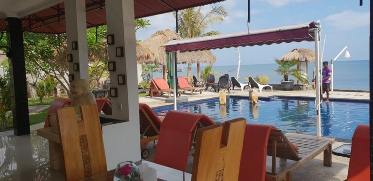 silver fern 01 768x374