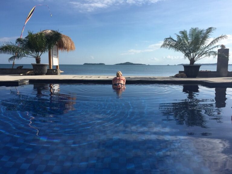 silver fern 03 768x576