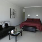 silver fern 04 150x150