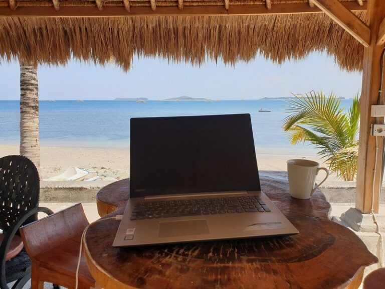 silver fern 05 768x576