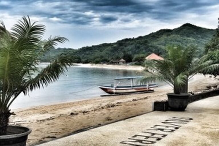 silver fern 07 768x512