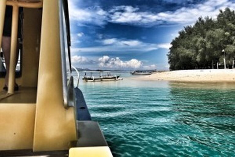 silver fern 08 768x512