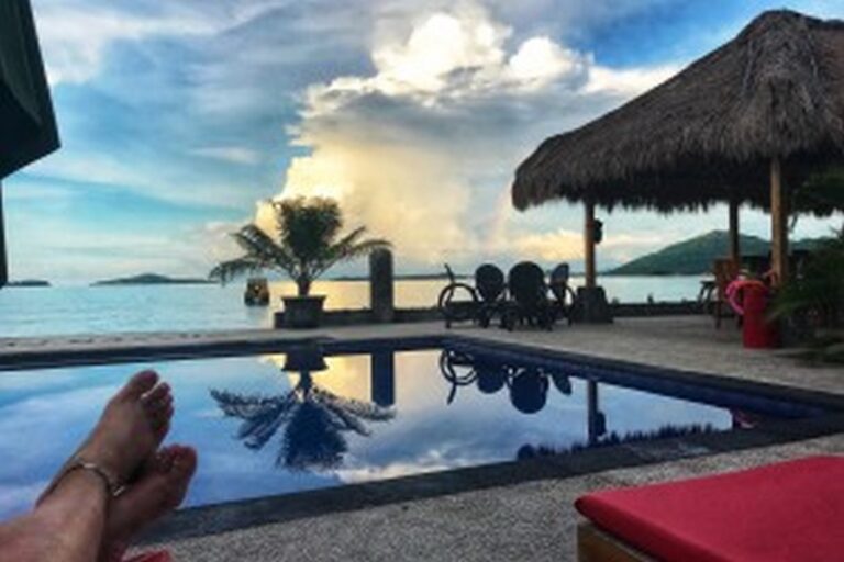 silver fern 09 768x512