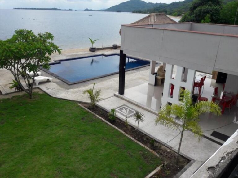 silver fern 11 768x576