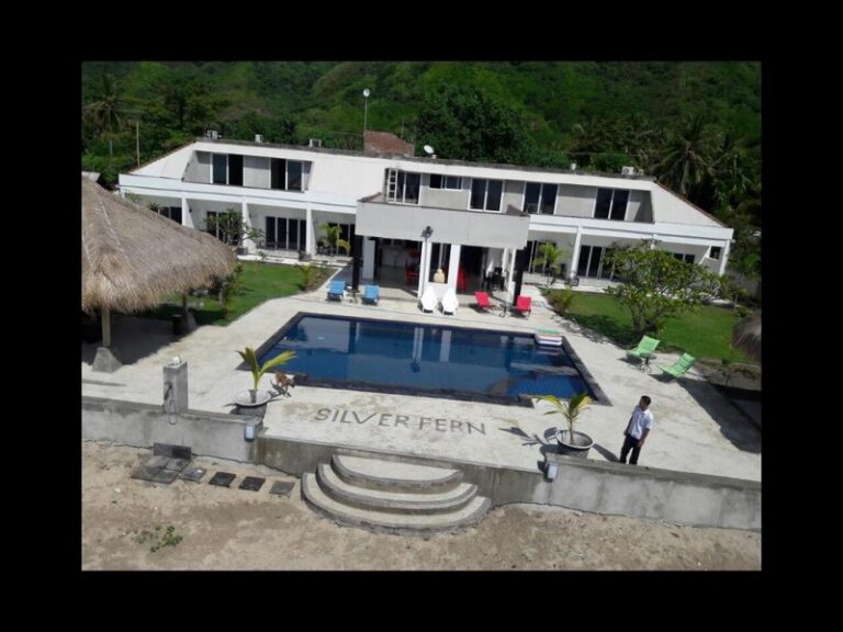 silver fern 14 768x576