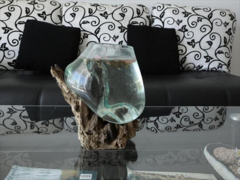 silver fern 15 768x576