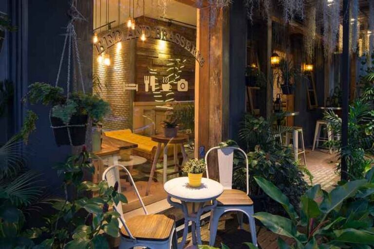 summerbird 13 768x512