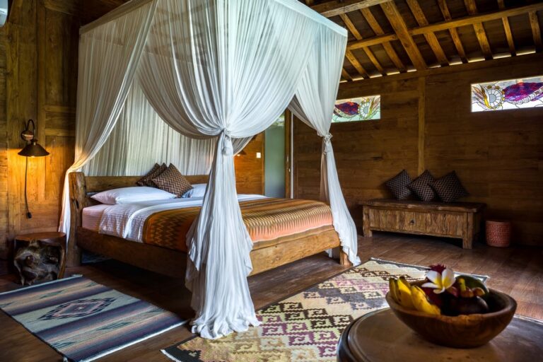 sun suko OWL PREMIUM 768x512