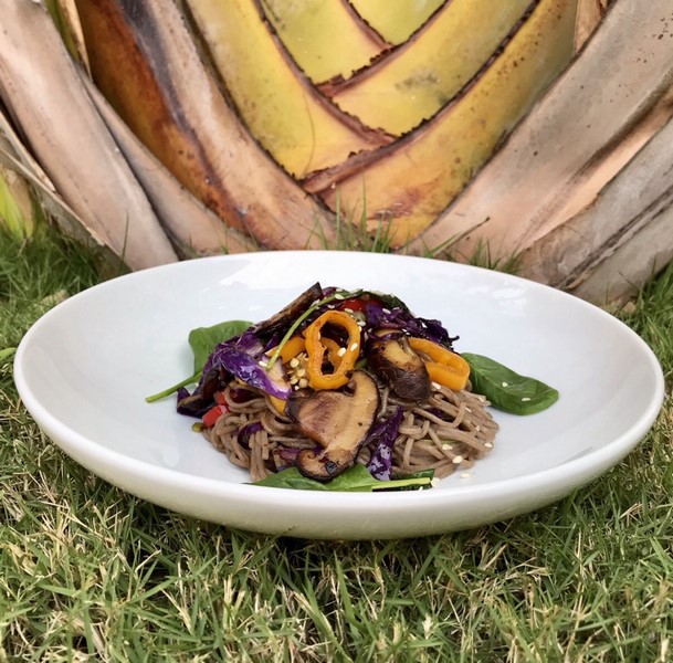 sun suko asian flavoured buckweat noodles with shitake