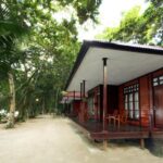 waiwo 06 150x150