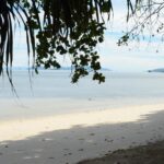 waiwo 19 150x150