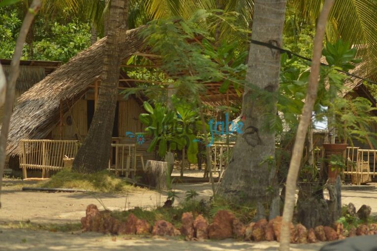 bunga jabe 05 768x511