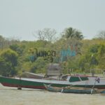 bunga jabe 06 150x150