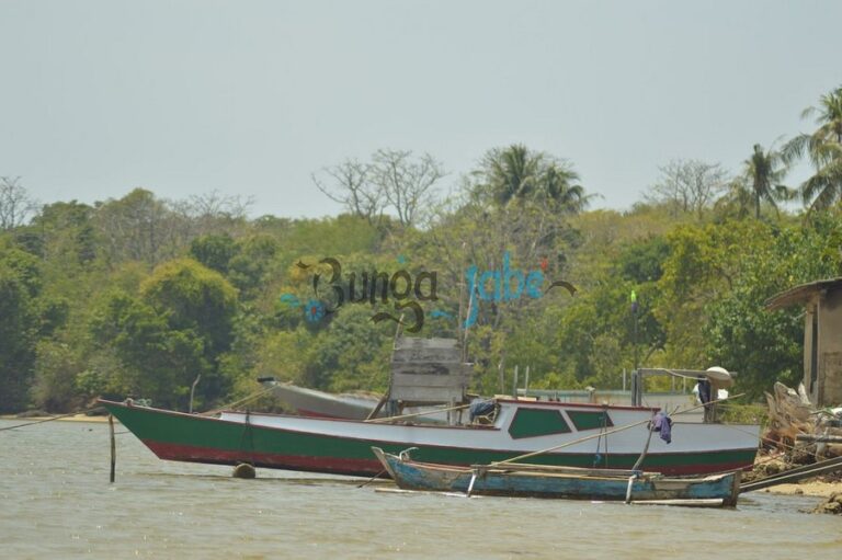 bunga jabe 06 768x511