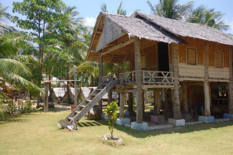 bunga jabe 08 768x511