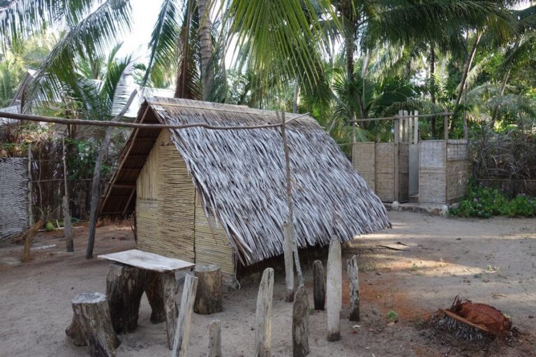 bunga jabe 09 768x511