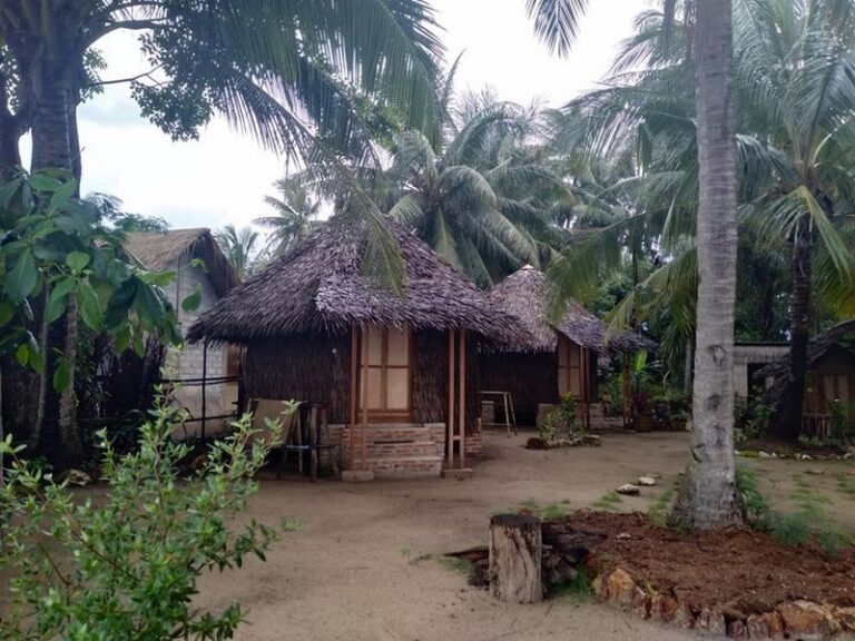 bunga jabe 10 768x576