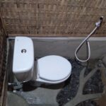 bunga jabe 11 150x150