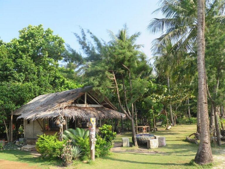 bunga jabe 16 768x576