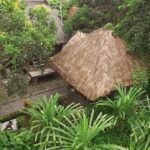 jungle room bali 11 150x150