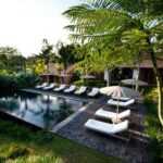 kalapa bali 15 150x150
