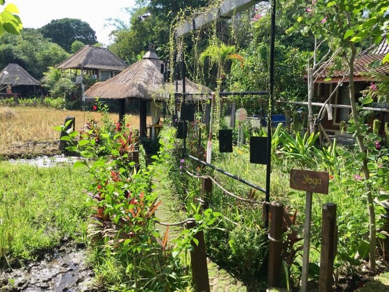 kts bali villas 16 768x576