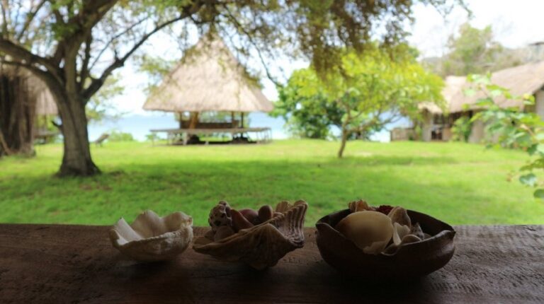 la ptite kepa 16 768x430