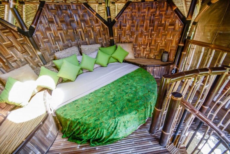 le bamboo 04 768x514