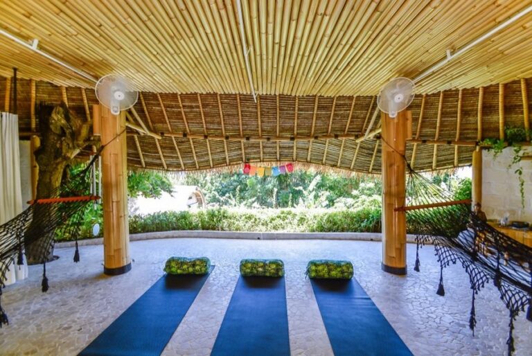 le bamboo 11 768x514