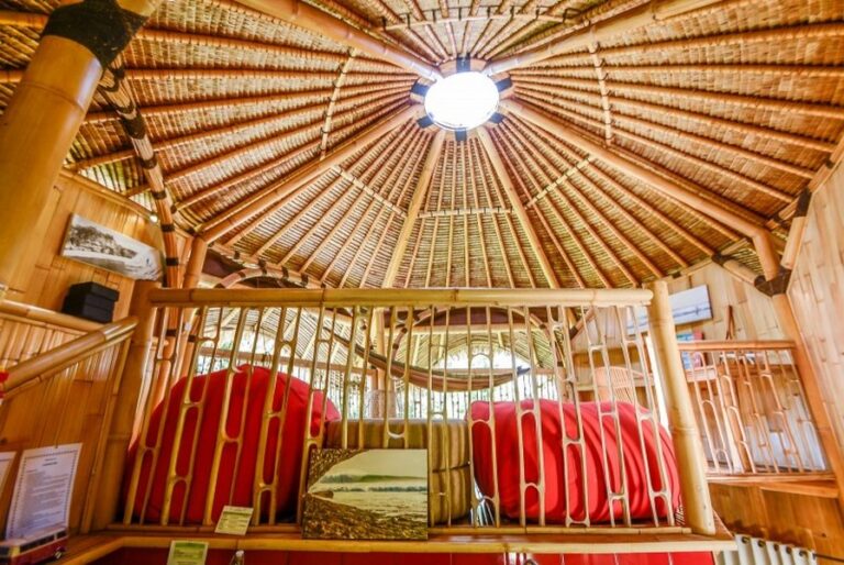 le bamboo 16 768x514