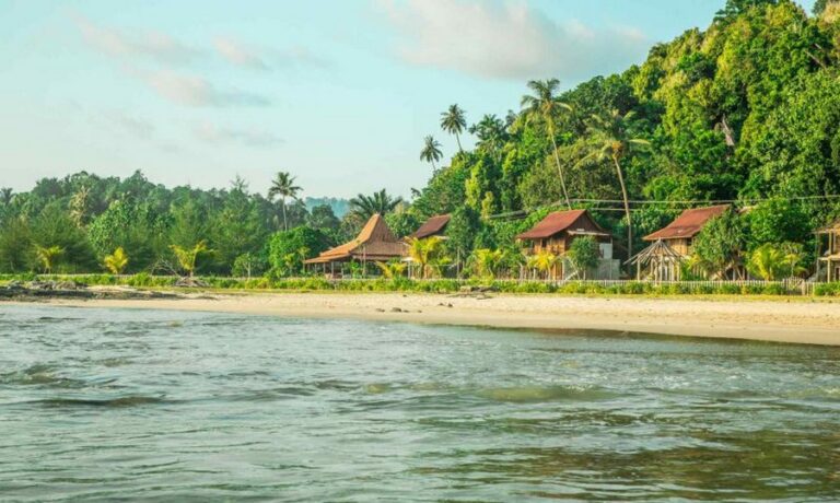 mahi mahi 01 768x460