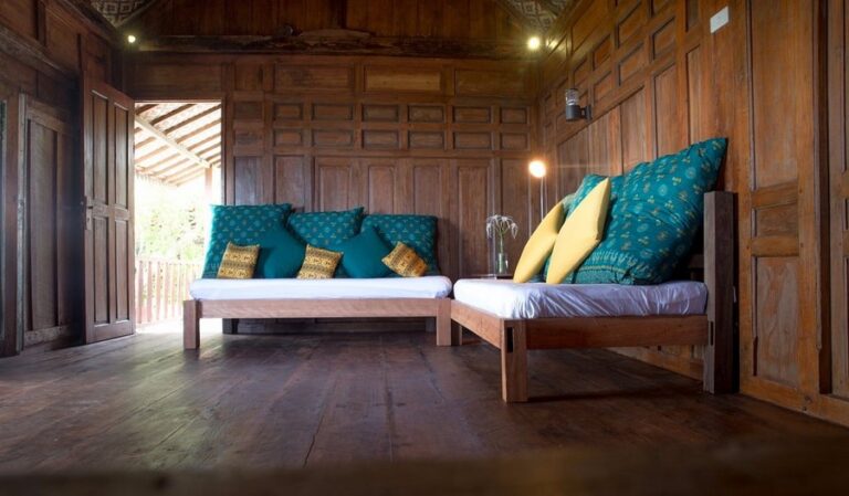 mahi mahi 06 768x449