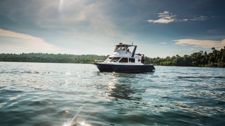 mahi mahi 10 768x432