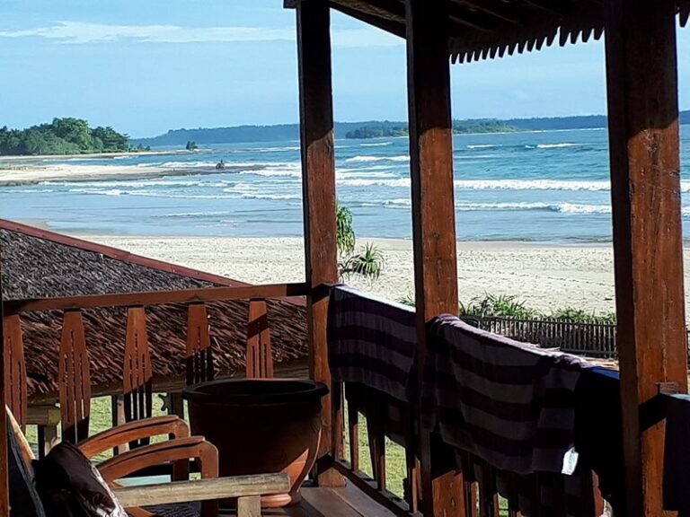 mahi mahi 14 768x576