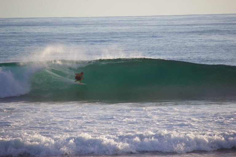 mahi mahi 16 768x511