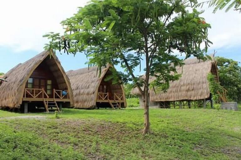 marangki kepa 01 768x512