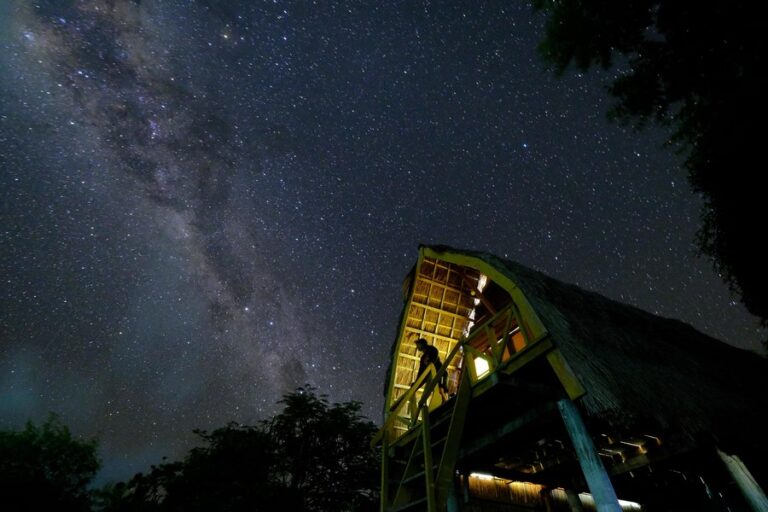 marangki kepa 14 768x512