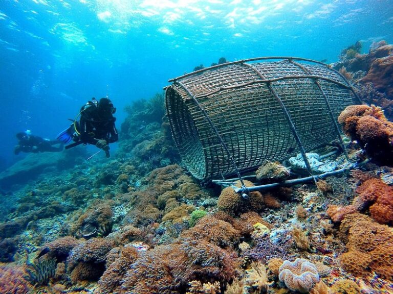 marangki kepa 18 768x576