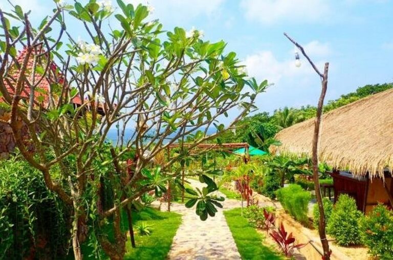 mirabelle joglo 16 768x509