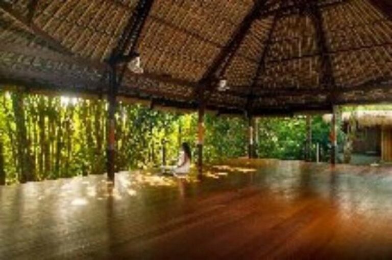 naya ubud bali 19 768x511