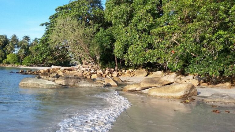 nirwana gardens 13 768x432