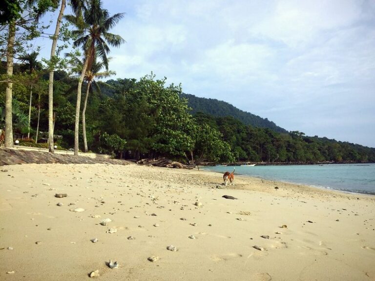 pulau weh 09 768x576