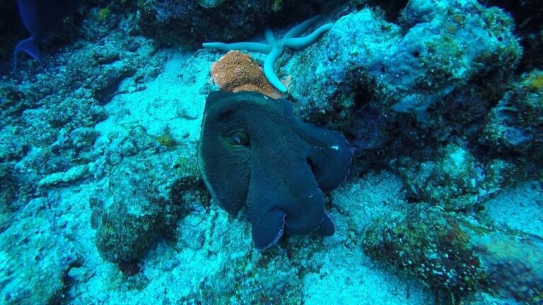 pulau weh 11 768x432