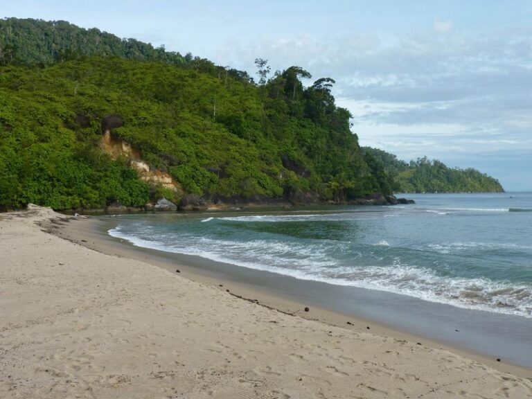 ricky beach 12 768x576