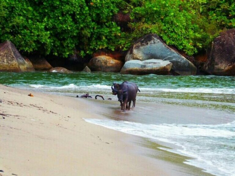 ricky beach 16 768x576