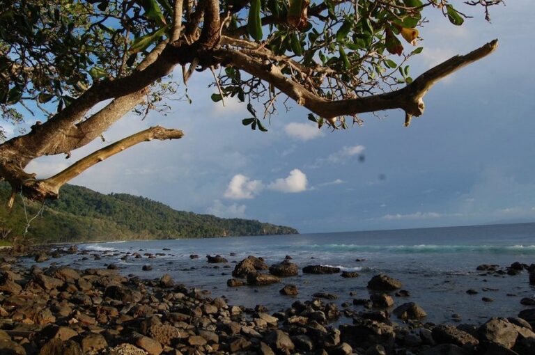 the pade dive 12 768x510