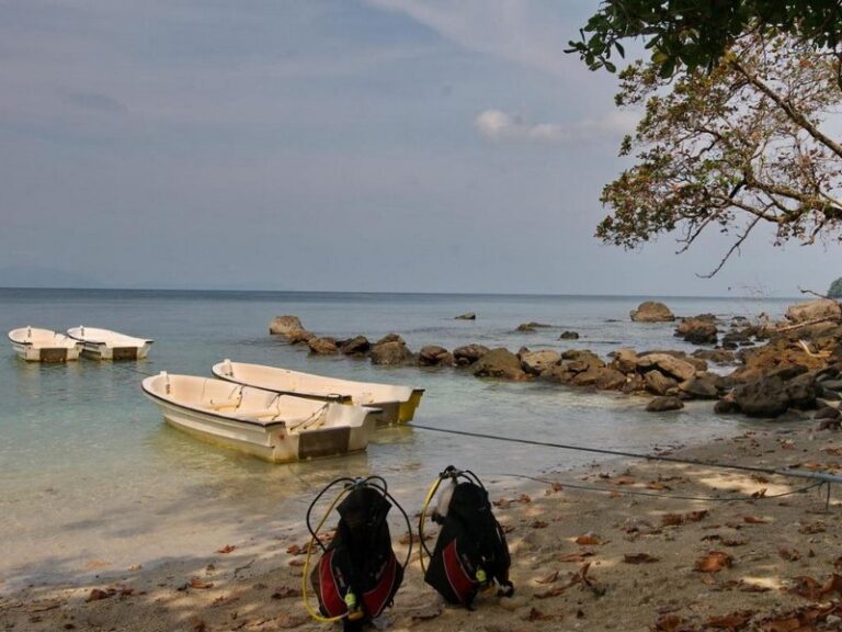 the pade dive 13 768x576