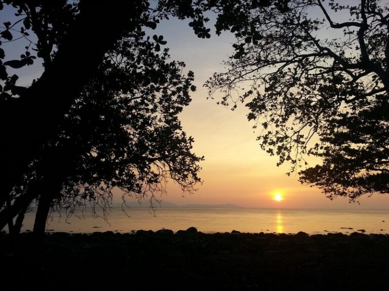 the pade dive 14 768x576