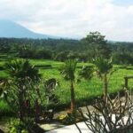tiamo bali 13 150x150